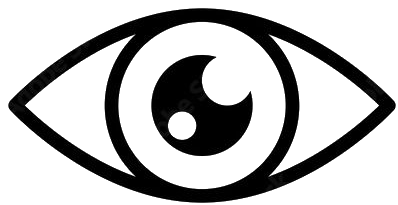 3S Vision Image